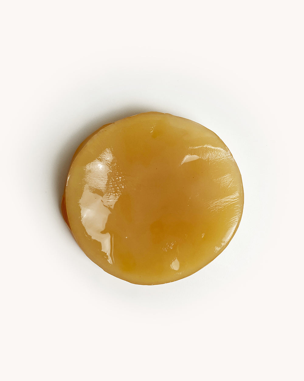 SCOBY Starter